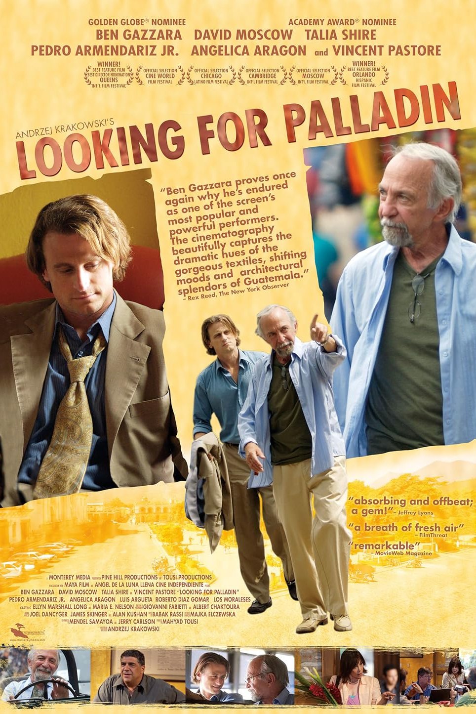 Постер Looking for Palladin